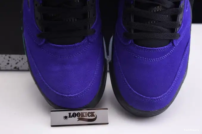Kicktheory Jordan Grape Retro Alternate Air 136027-500 5 0531